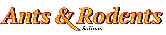 Salinas Ant Exterminator & Rodent Control Company Logo